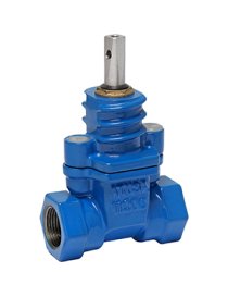 VF/501 VALV.COMP.C.ELAST.FUND.EPDM ROSCADA 1"