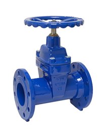 REF.509 - VALV.COMP.C.ELAST. FLANGIA F5 PN16 DN065